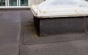 disadvantages of Forth flat roofs