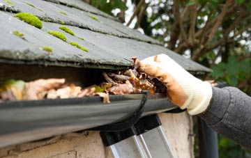 gutter cleaning Forth, South Lanarkshire